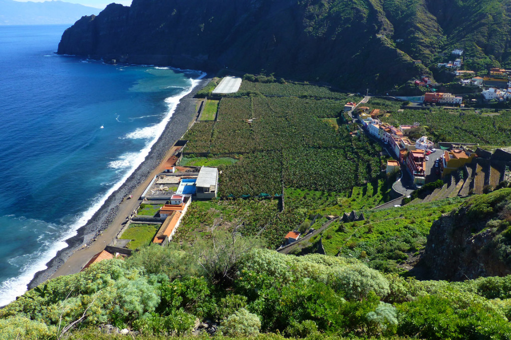 A coastal town with banana plantations