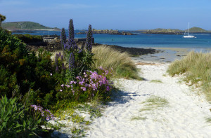 East Coast Tresco, Isles of Scilly