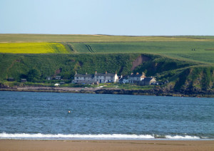 View across Lunan Bay to Ethie Haven (Taken by Jim)